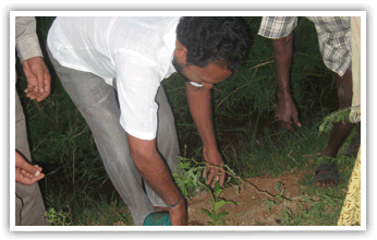 Drinking Water Facility